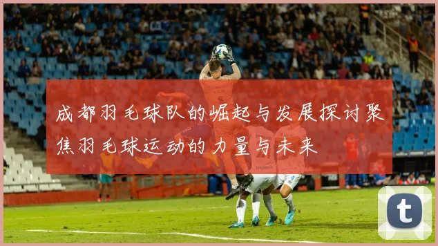 成都羽毛球队的崛起与发展探讨聚焦羽毛球运动的力量与未来